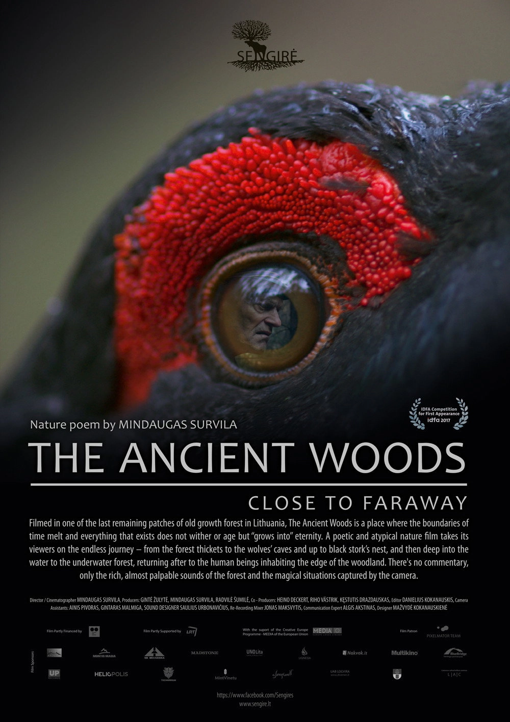 The Ancient Woods