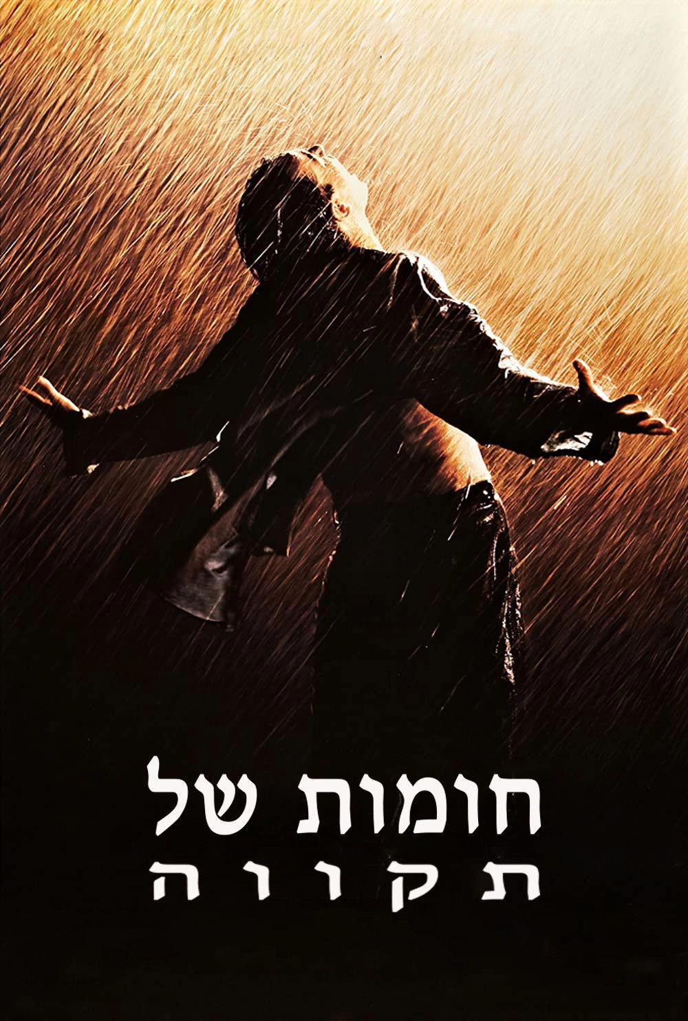 The Shawshank Redemption