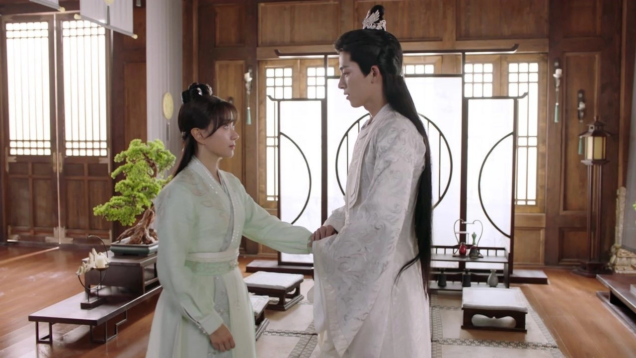 Your Sensibility My Destiny