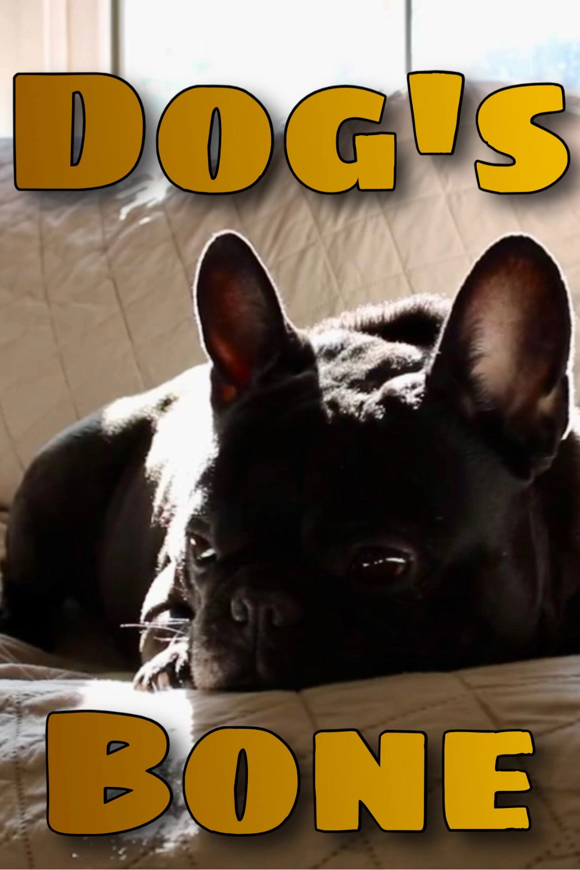 Dog's Bone