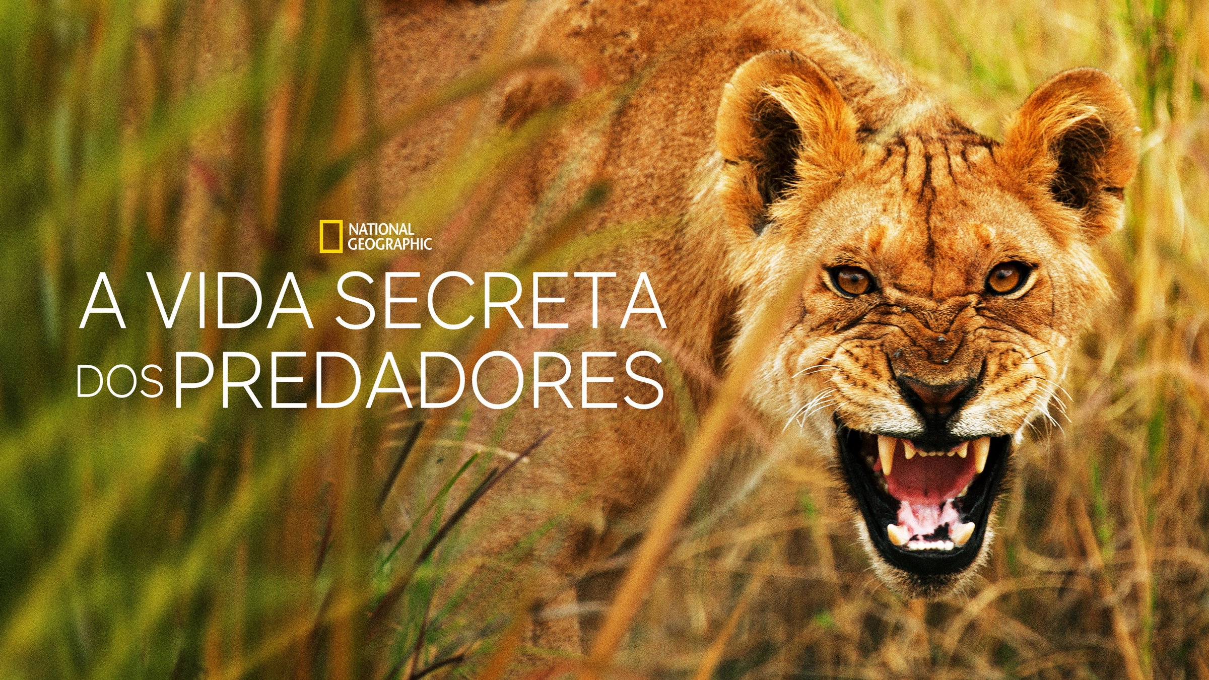 Secret Life of Predators