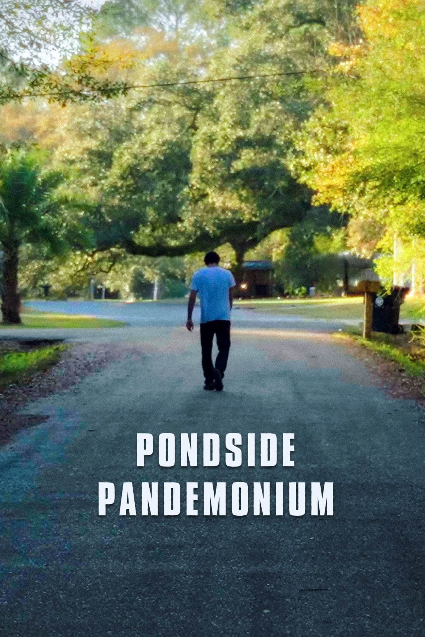 Pondside Pandemonium