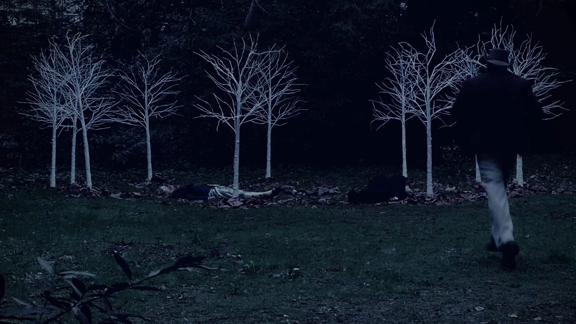 Queen of Hearts: A Twin Peaks Fan Film