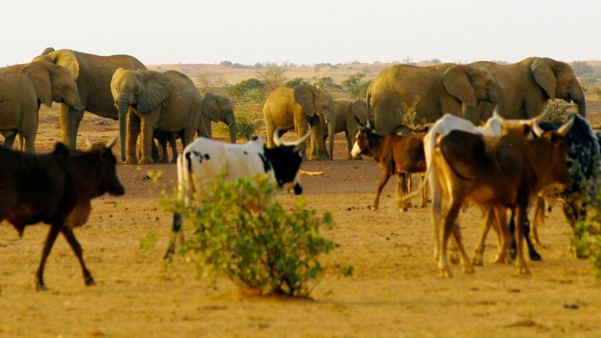 Africa's Hidden Wonders