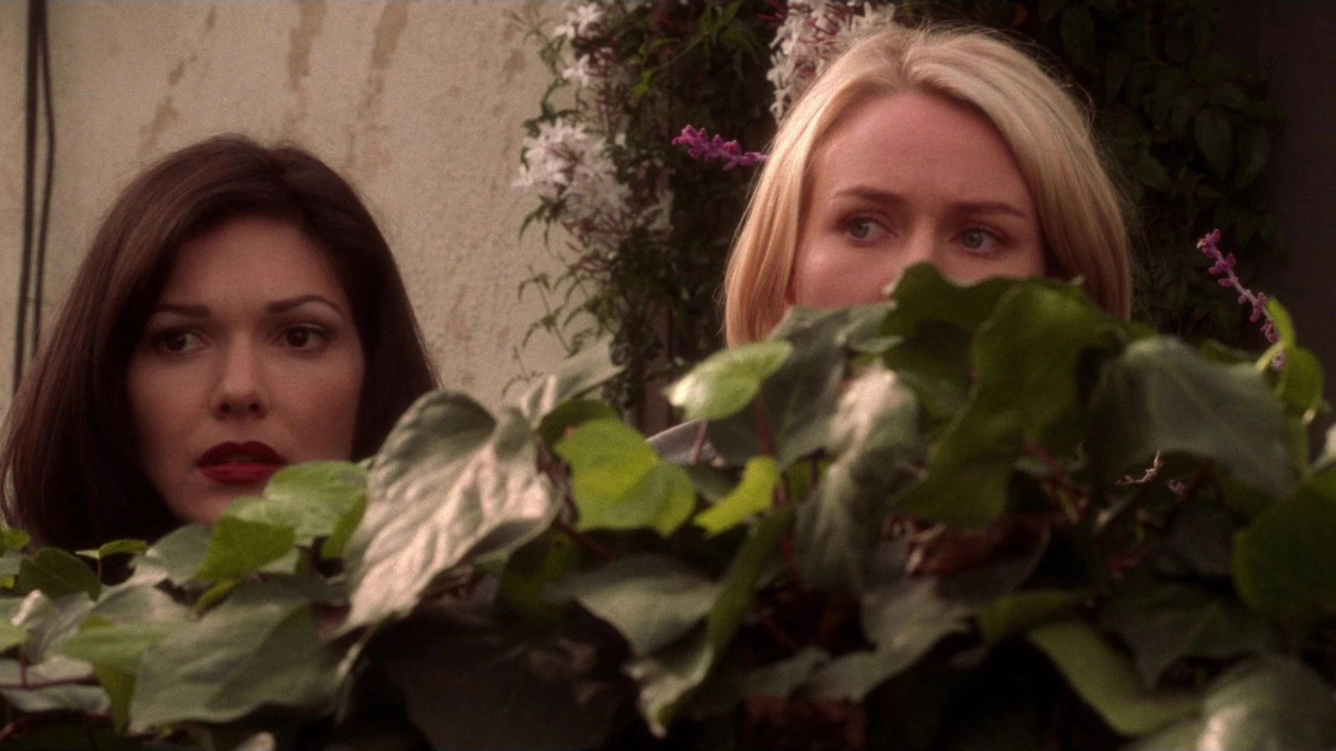 Mulholland Drive