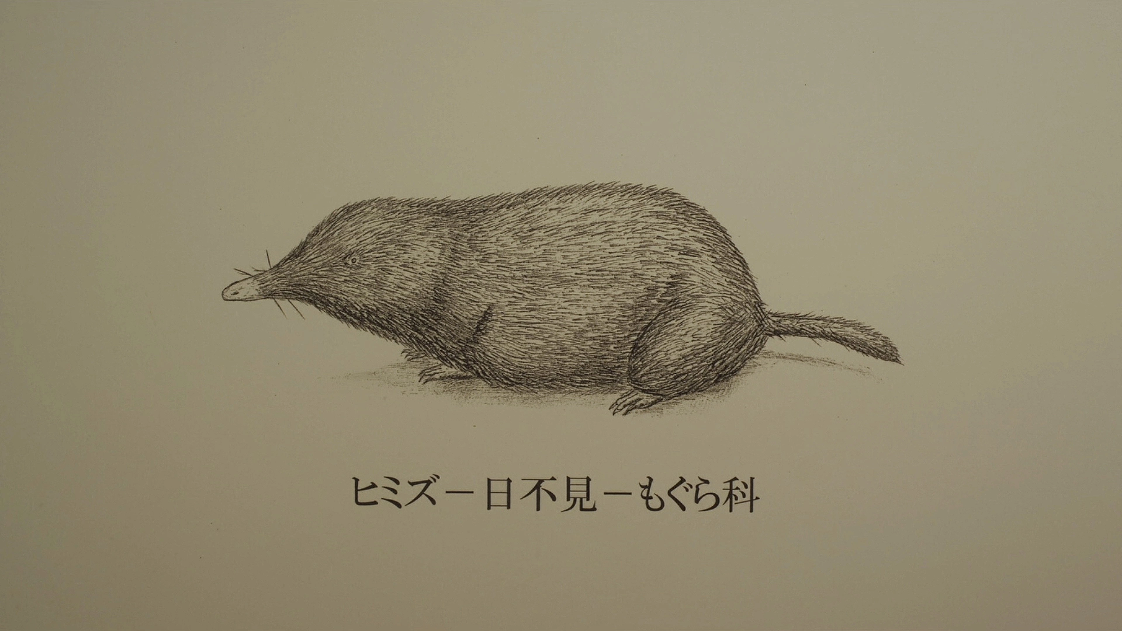 Himizu