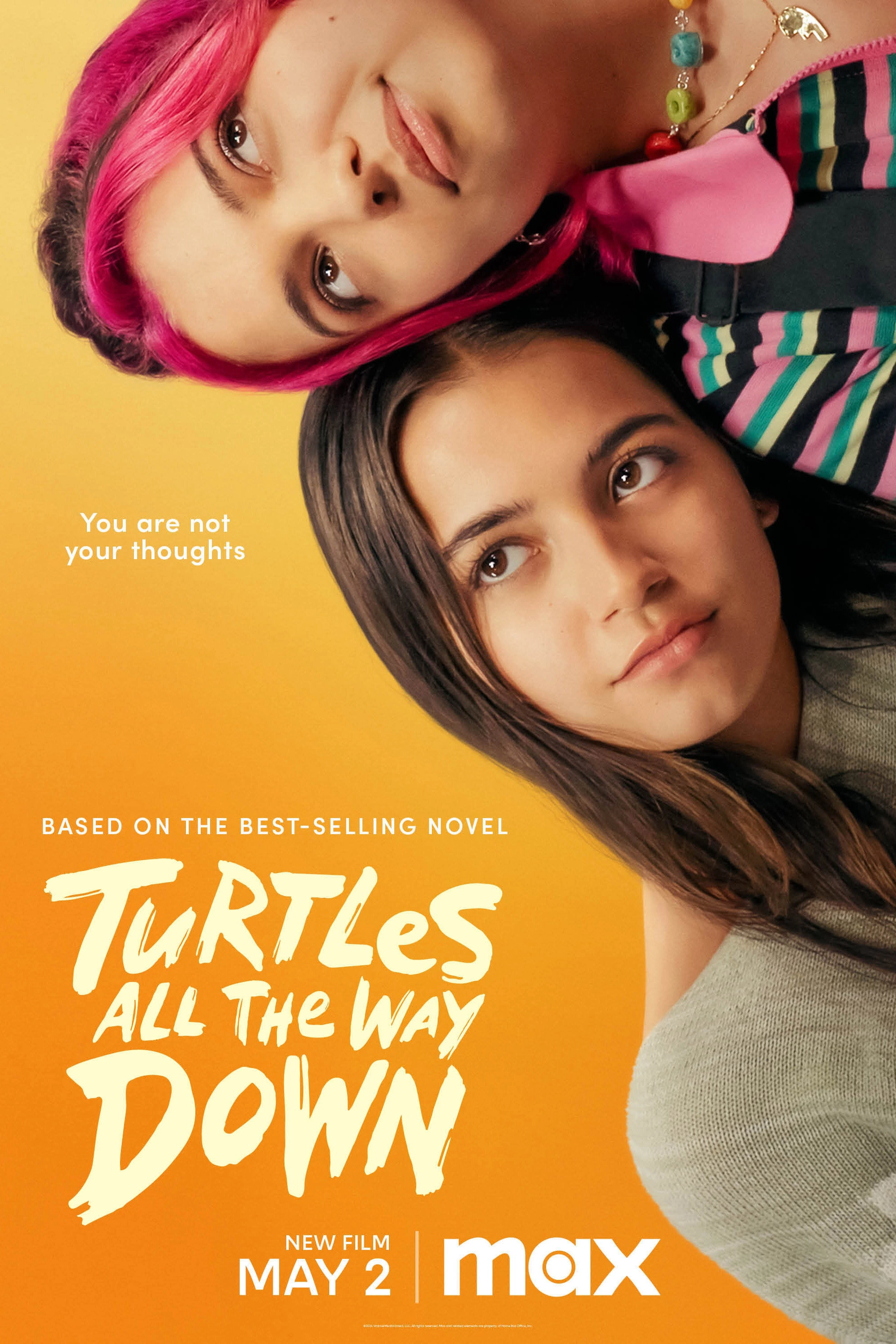 Turtles All the Way Down