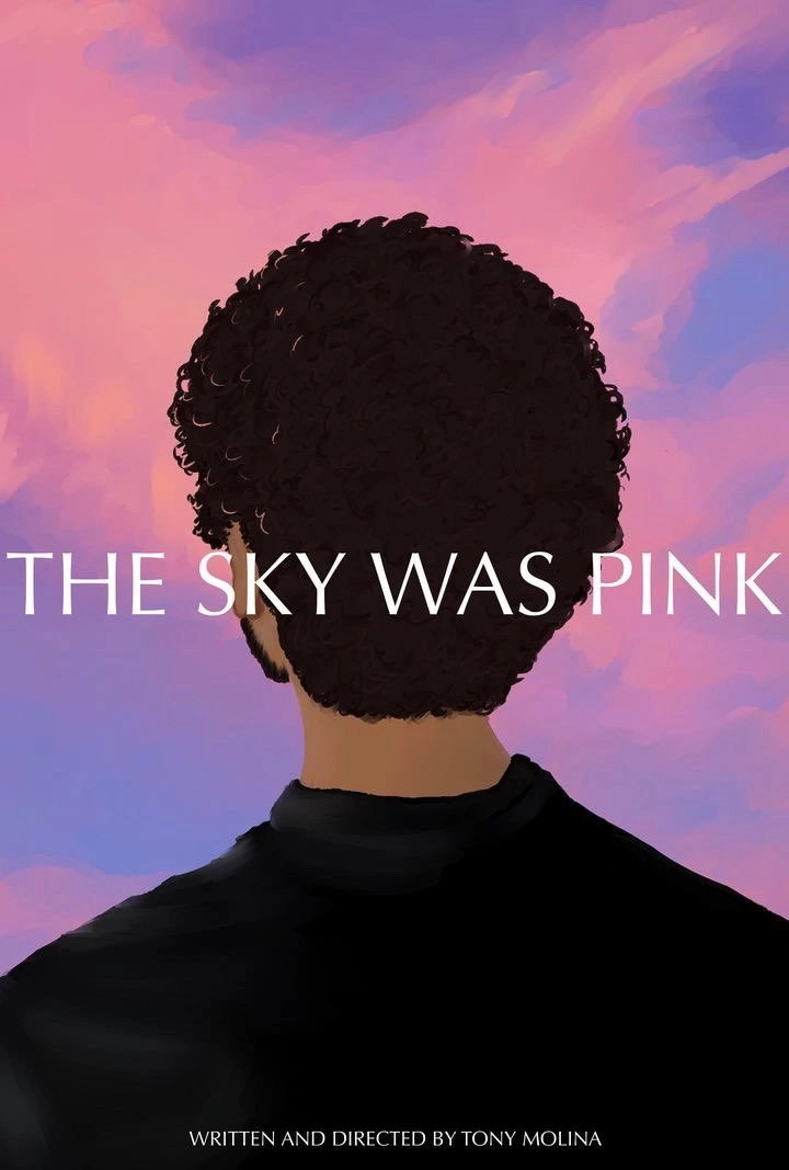 The Sky was Pink