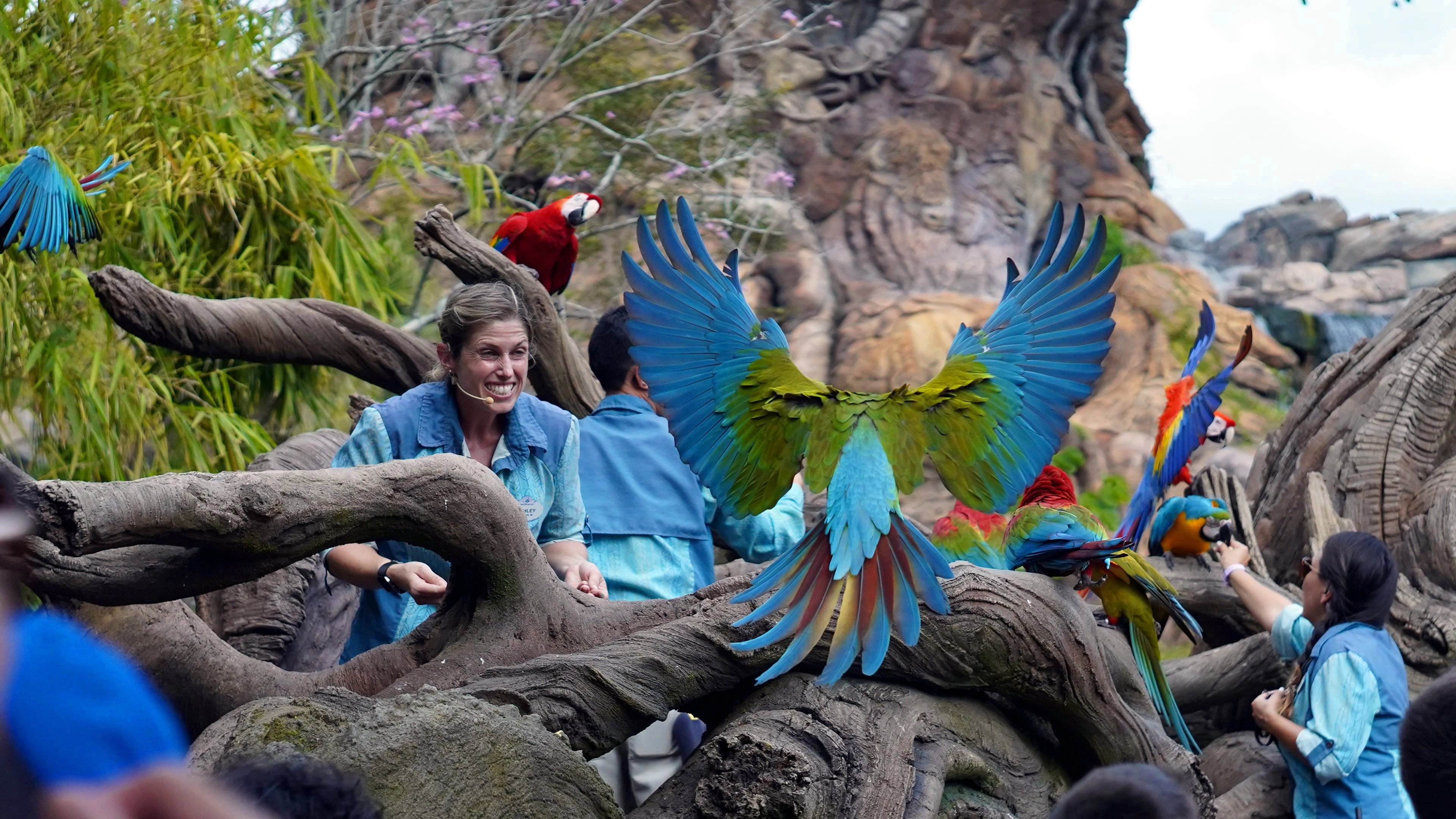 Magic of Disney's Animal Kingdom