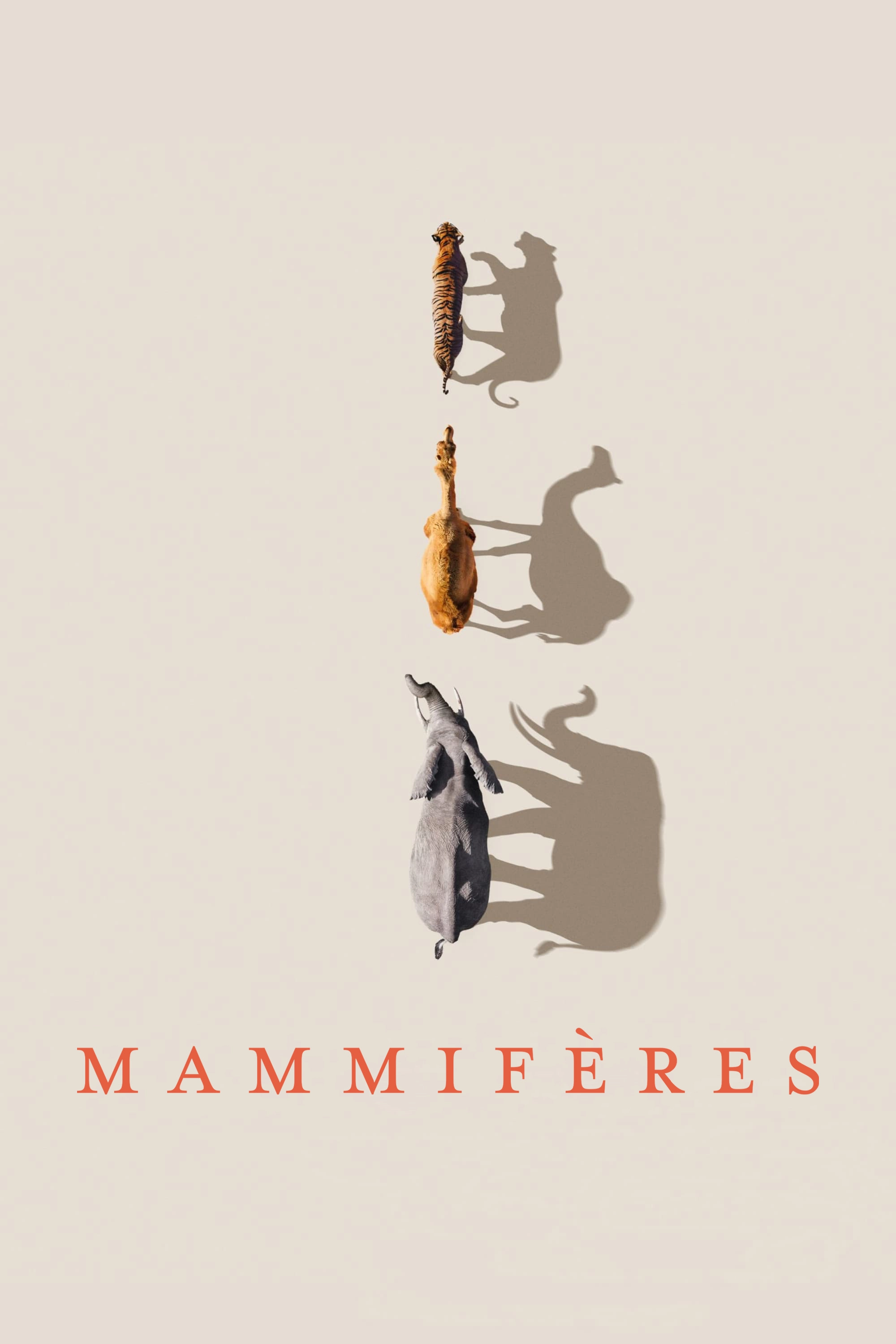 Mammals