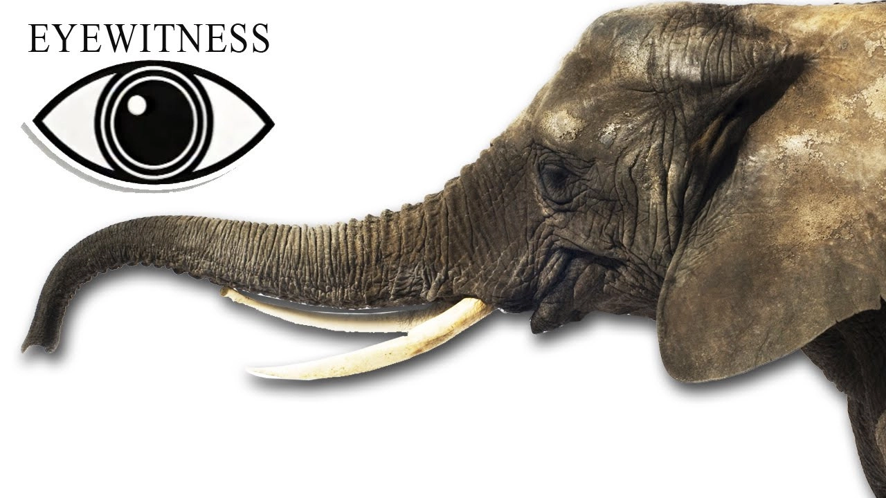 Eyewitness