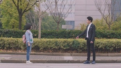 Meteor Garden