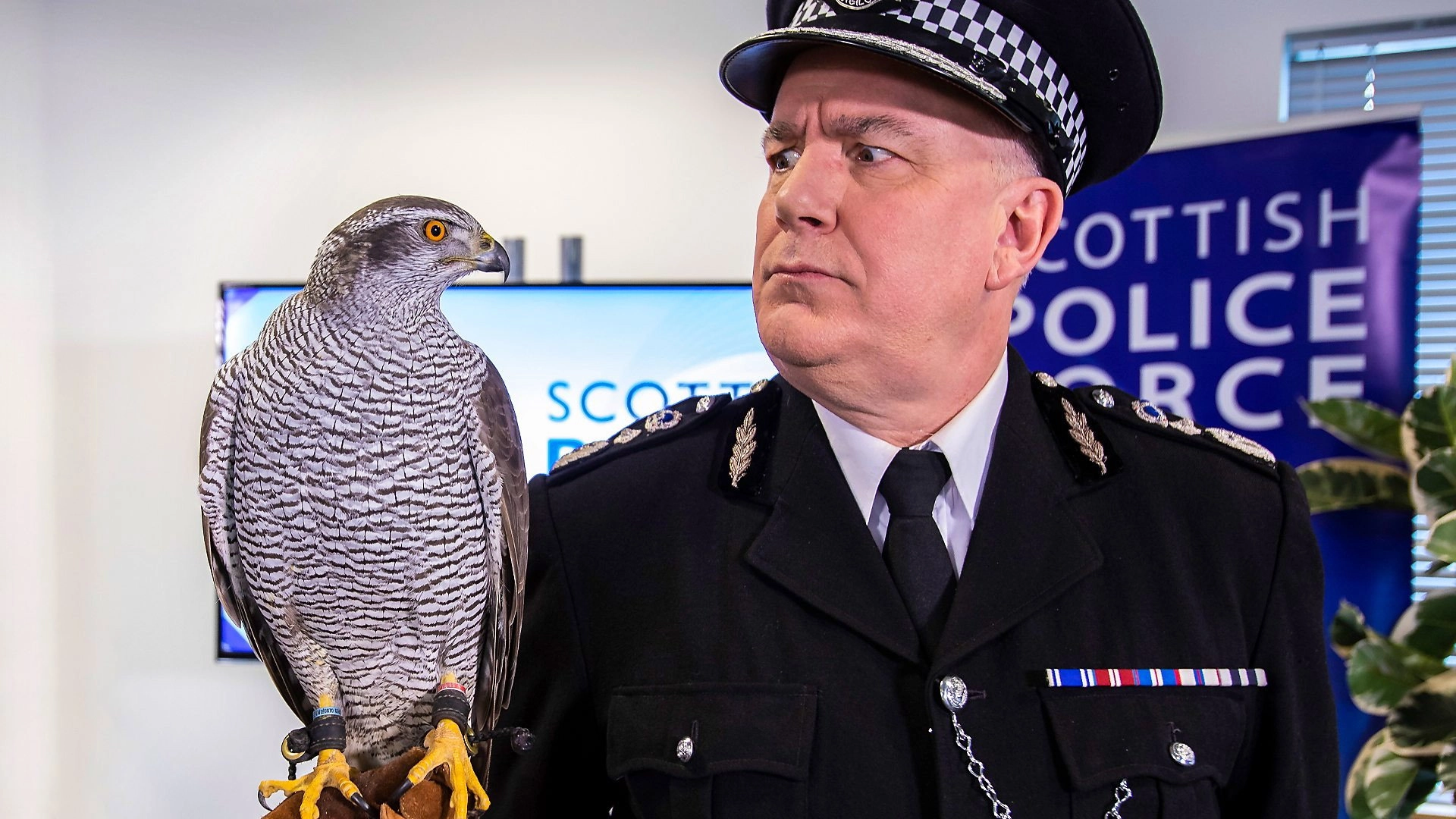 Scot Squad