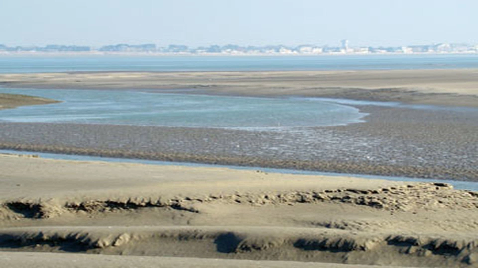 Wild France