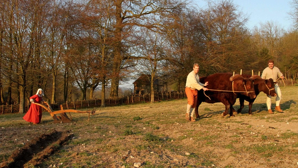 Tudor Monastery Farm