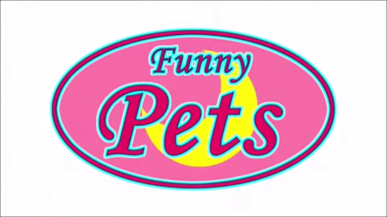 Funny Pets