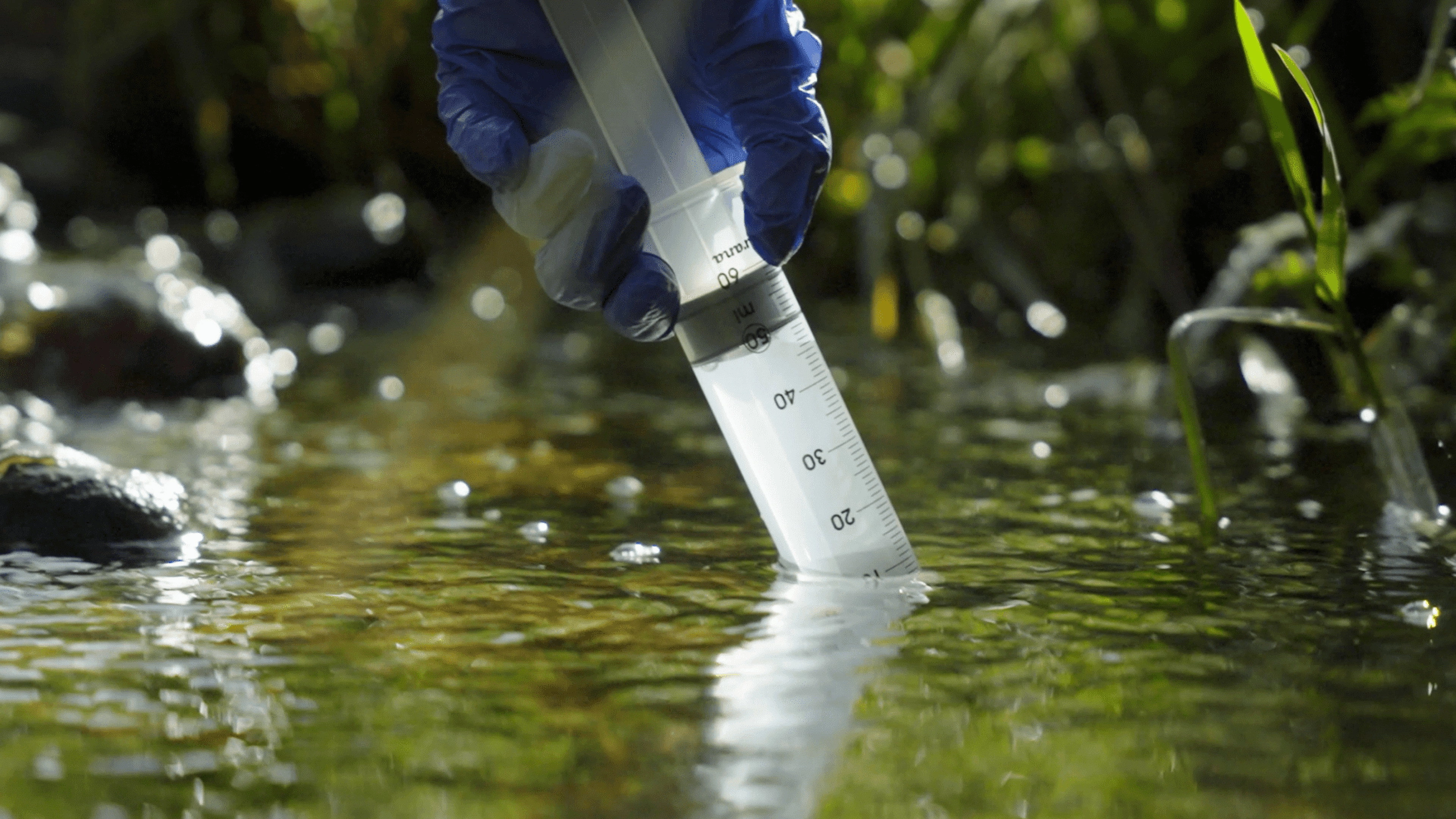 What if...? Genomics in Aotearoa