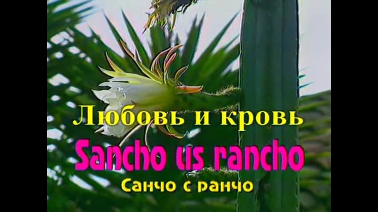 Sancho From the Ranch