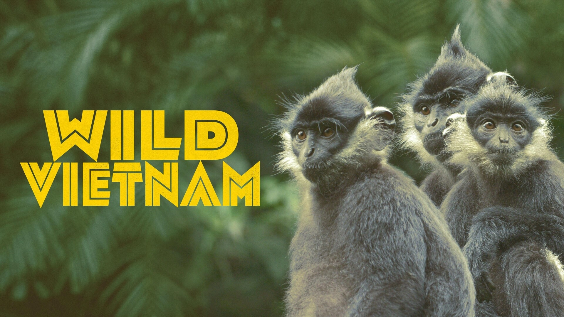 Wild Vietnam