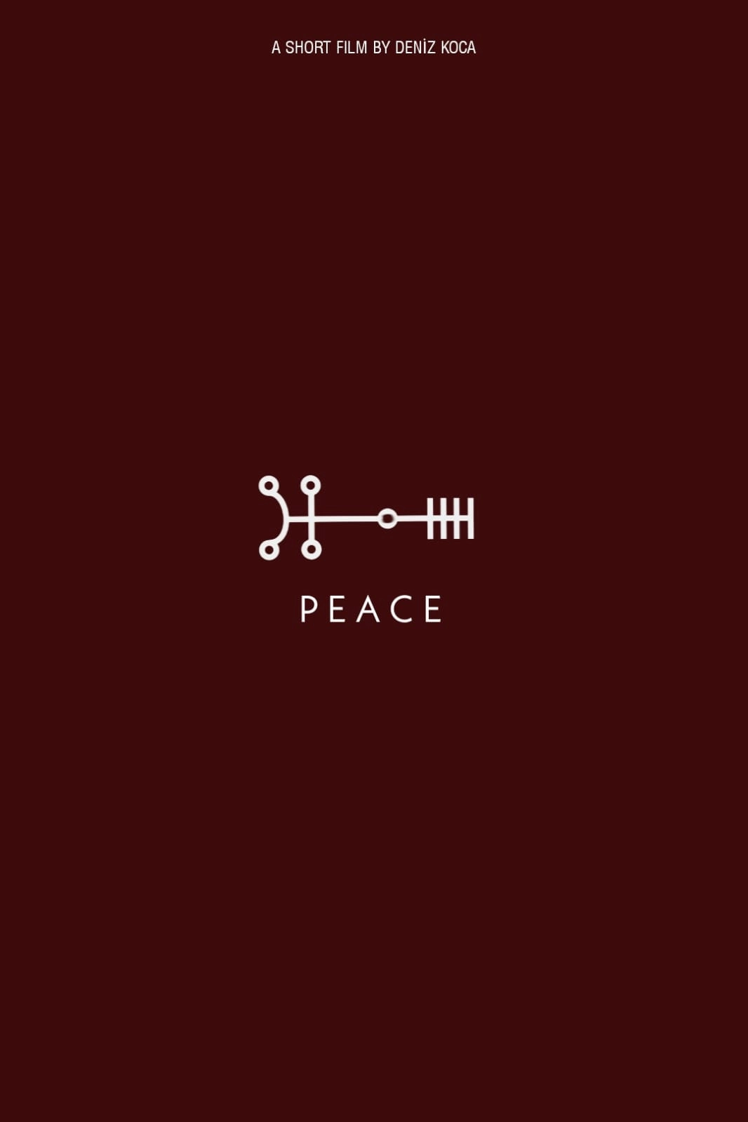 Birds at Night