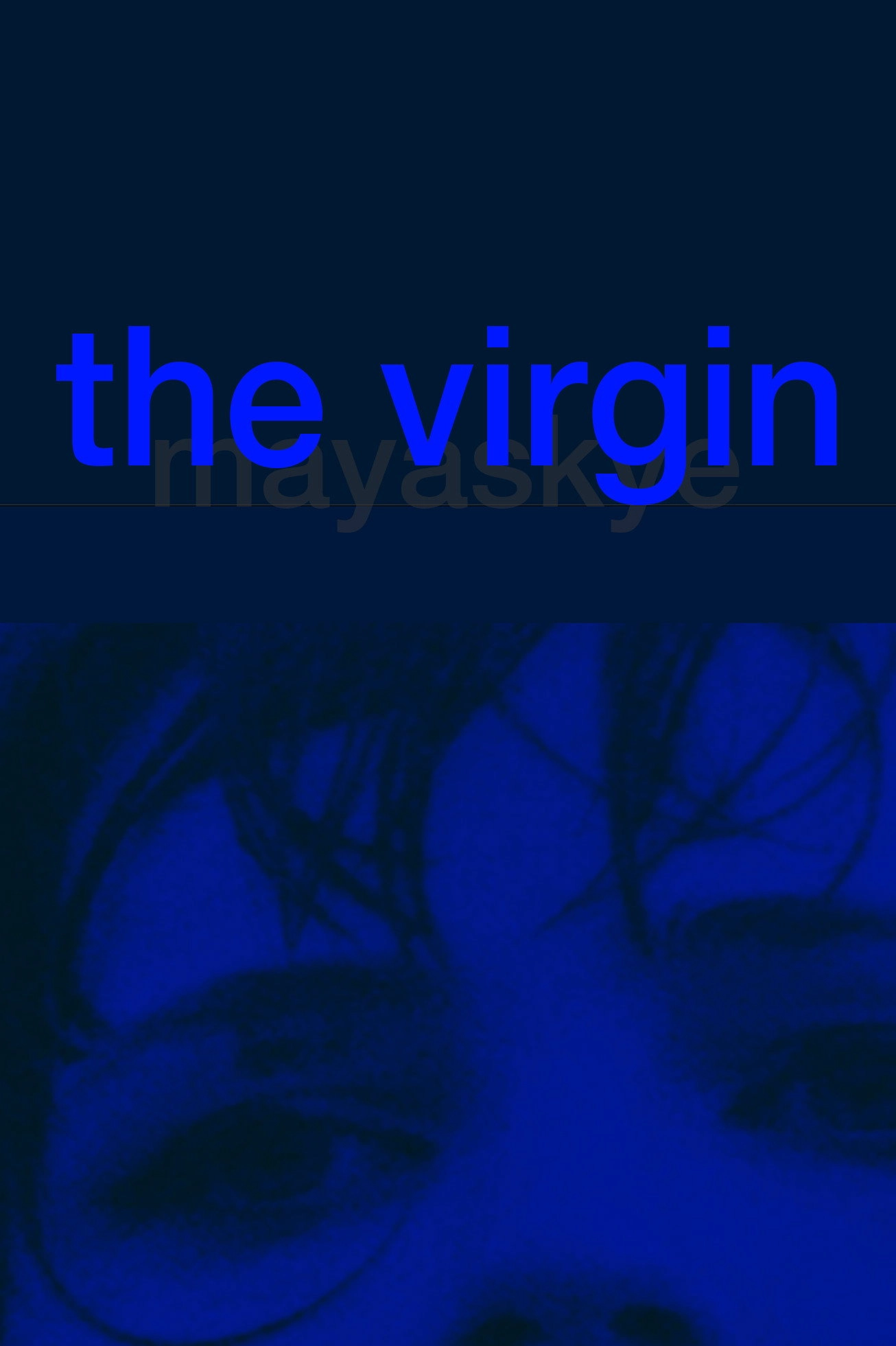 the virgin
