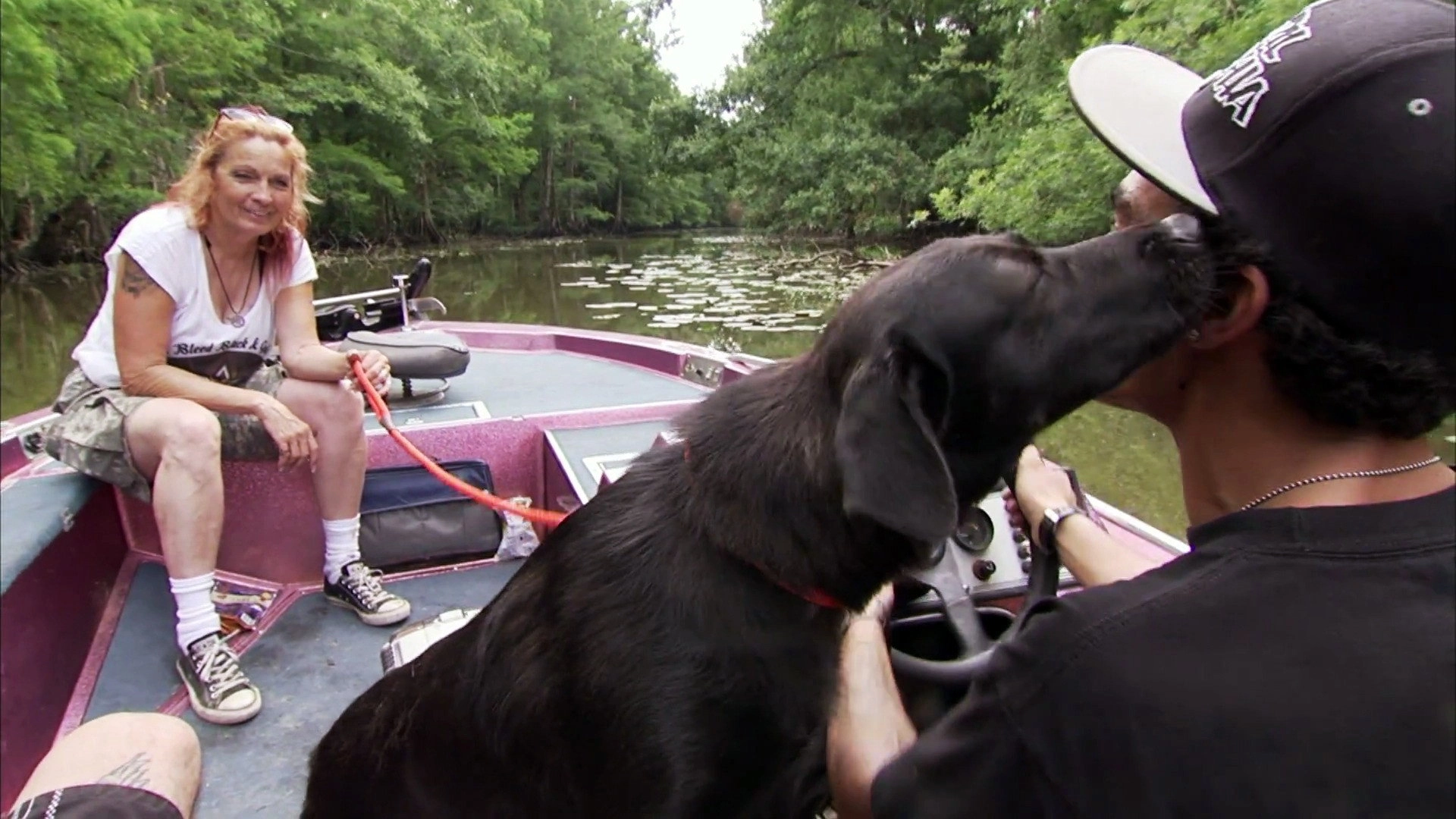 Pit Bulls and Parolees