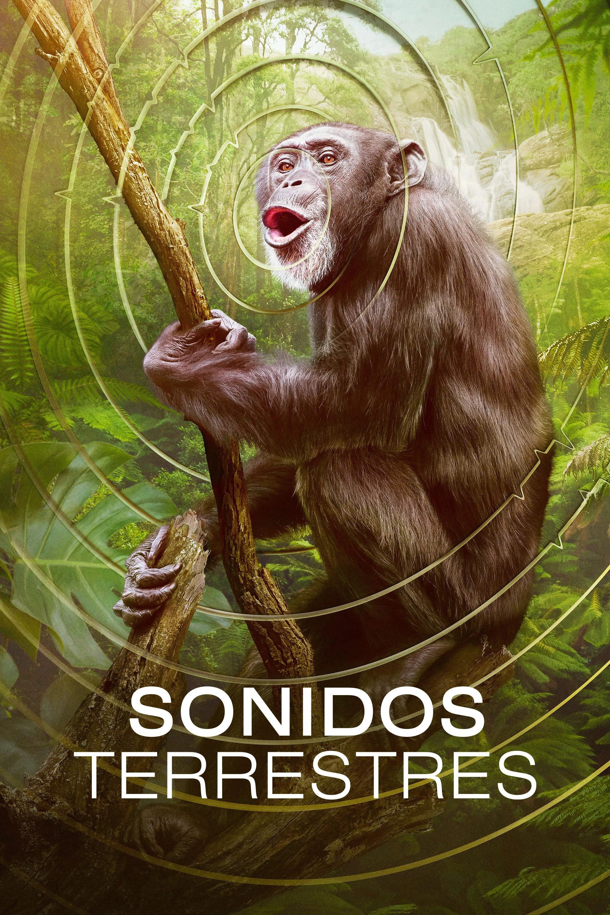 Earthsounds