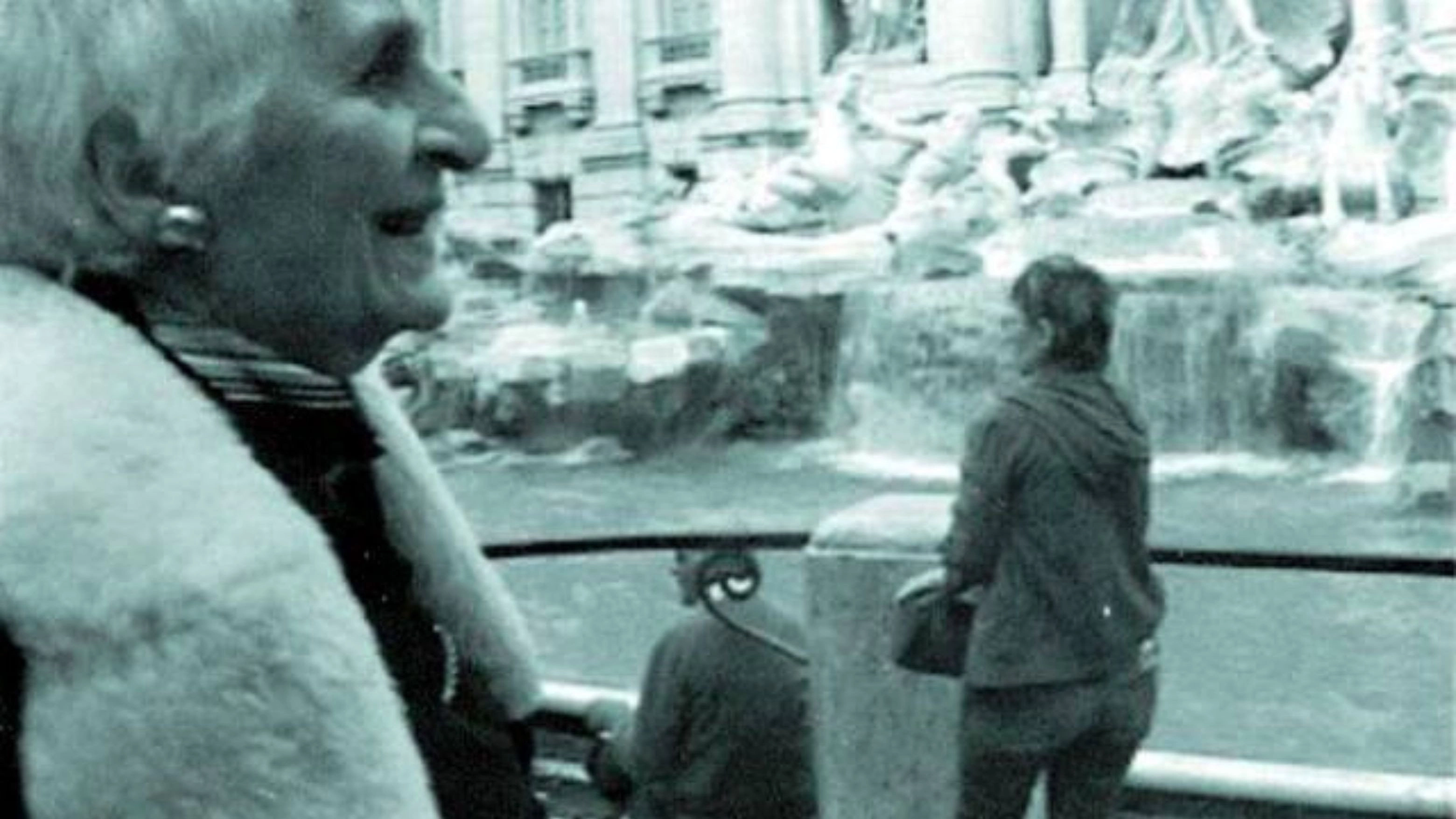 THE INTERPRETER OF BLACK AND WHITE FILMS