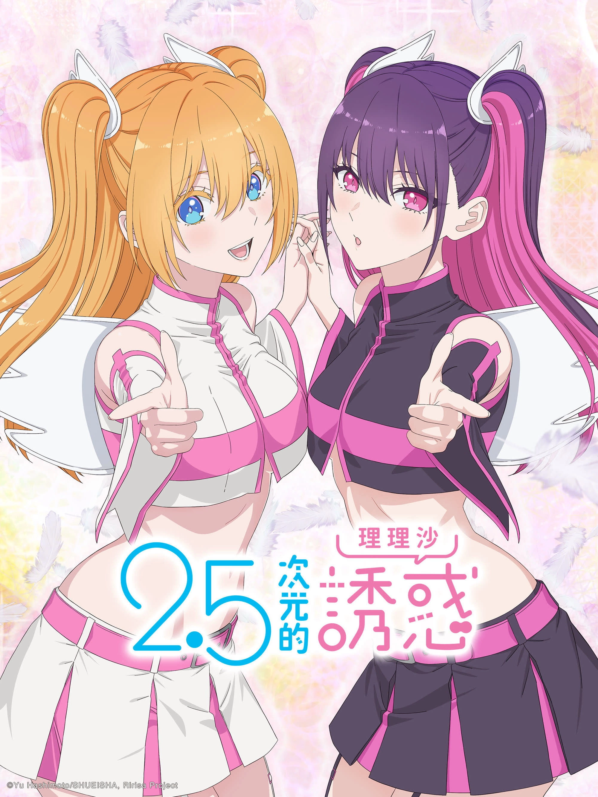 2.5 Dimensional Seduction