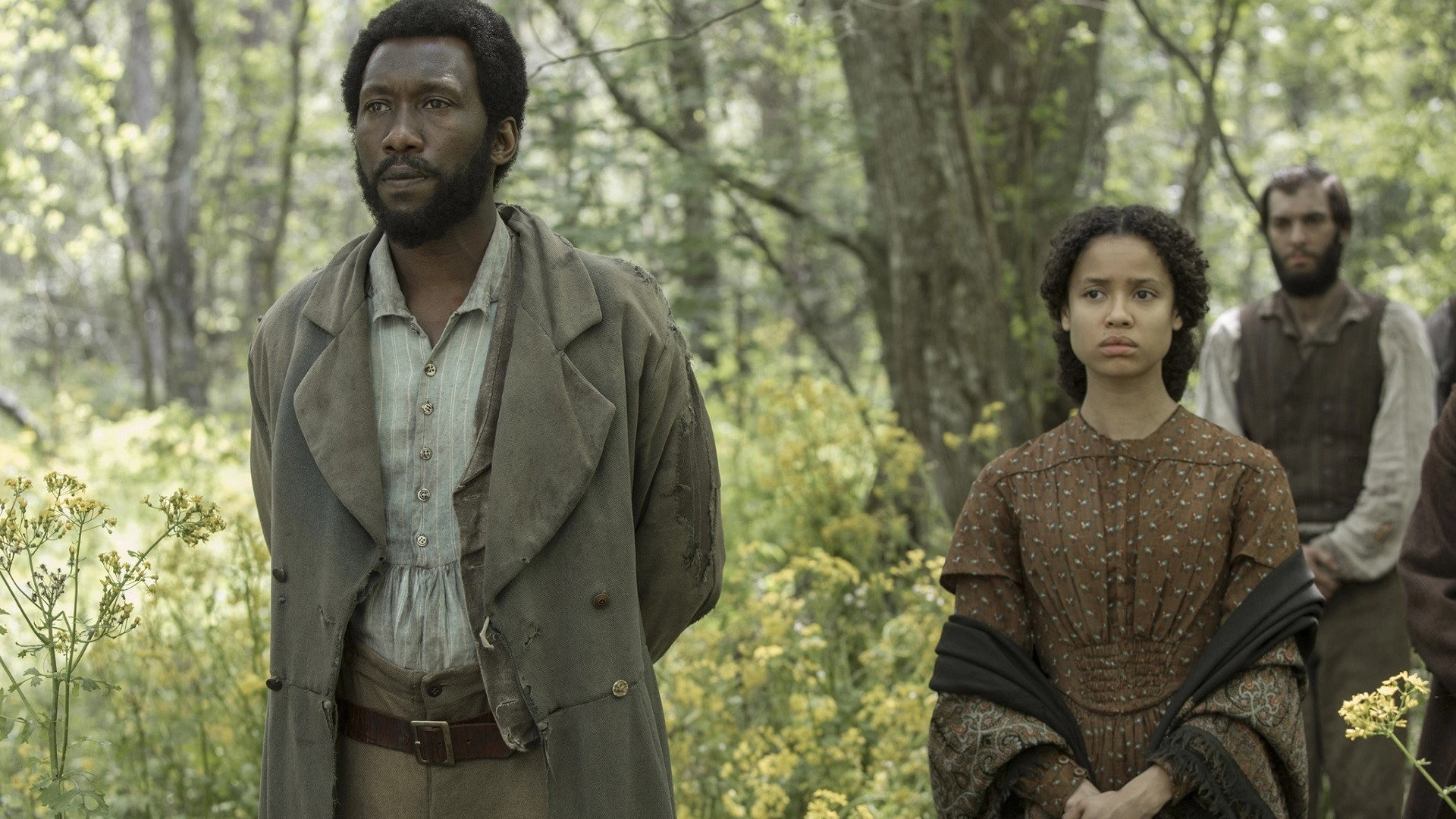 Free State of Jones
