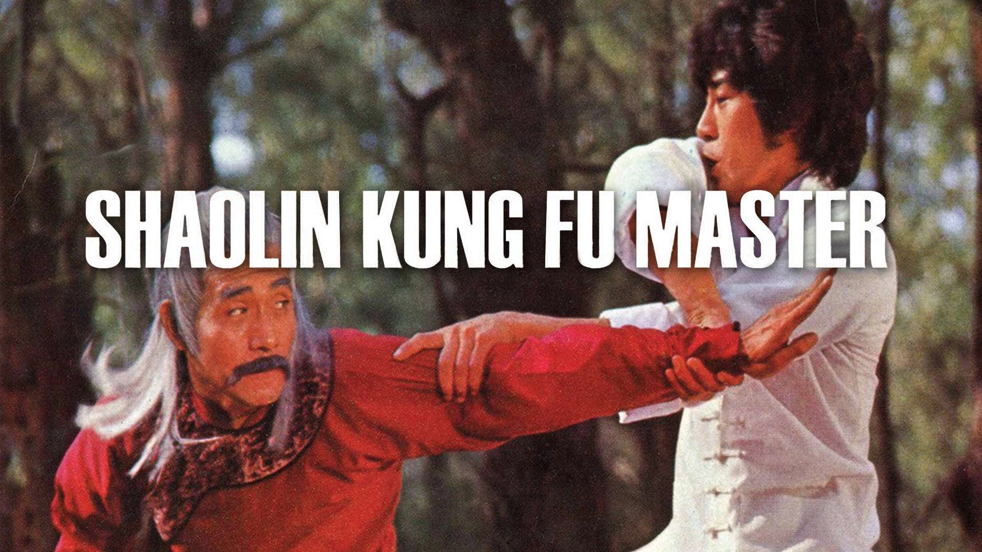 Shaolin Kung Fu Master