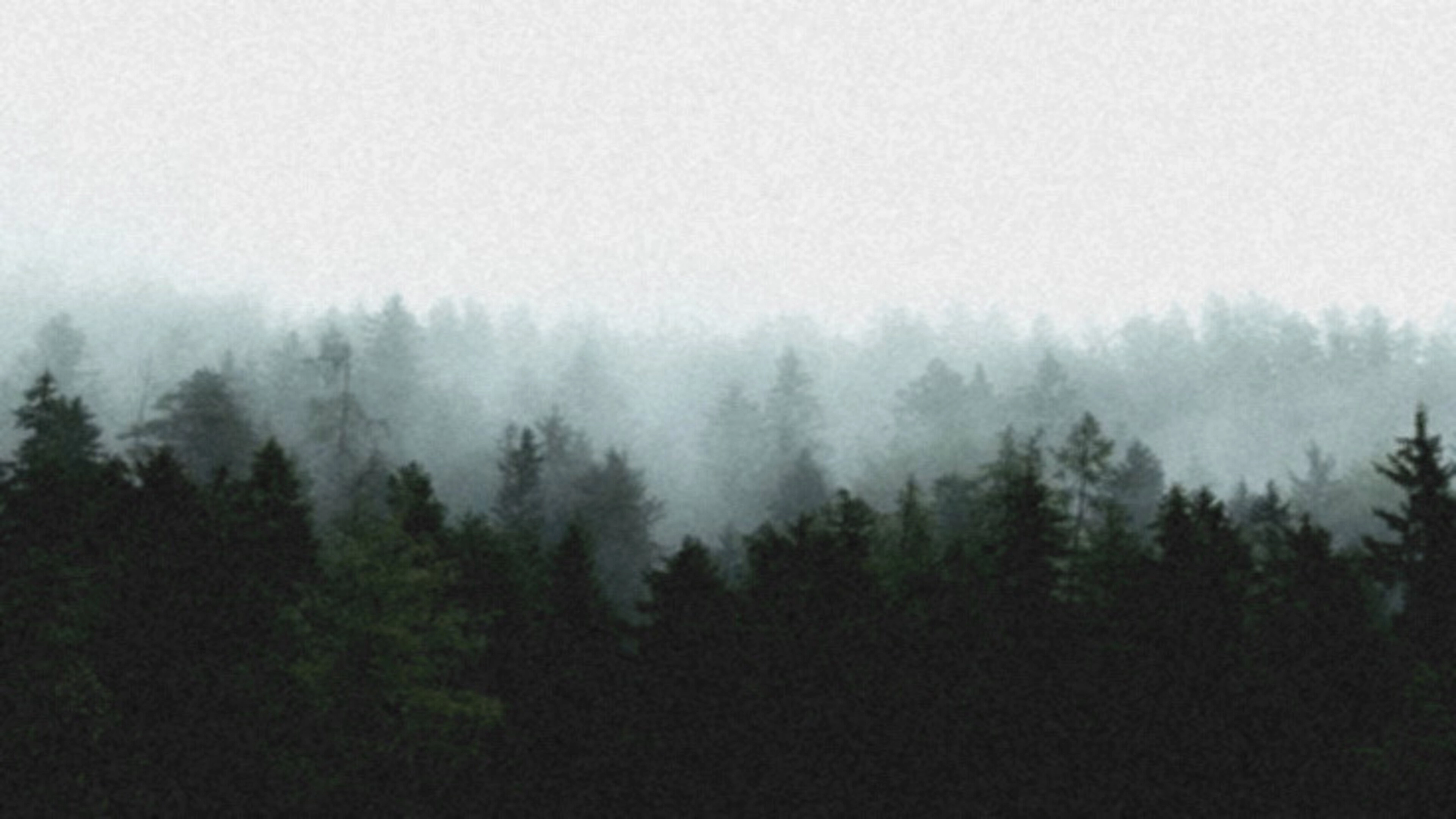 Lost in Wonder Valley