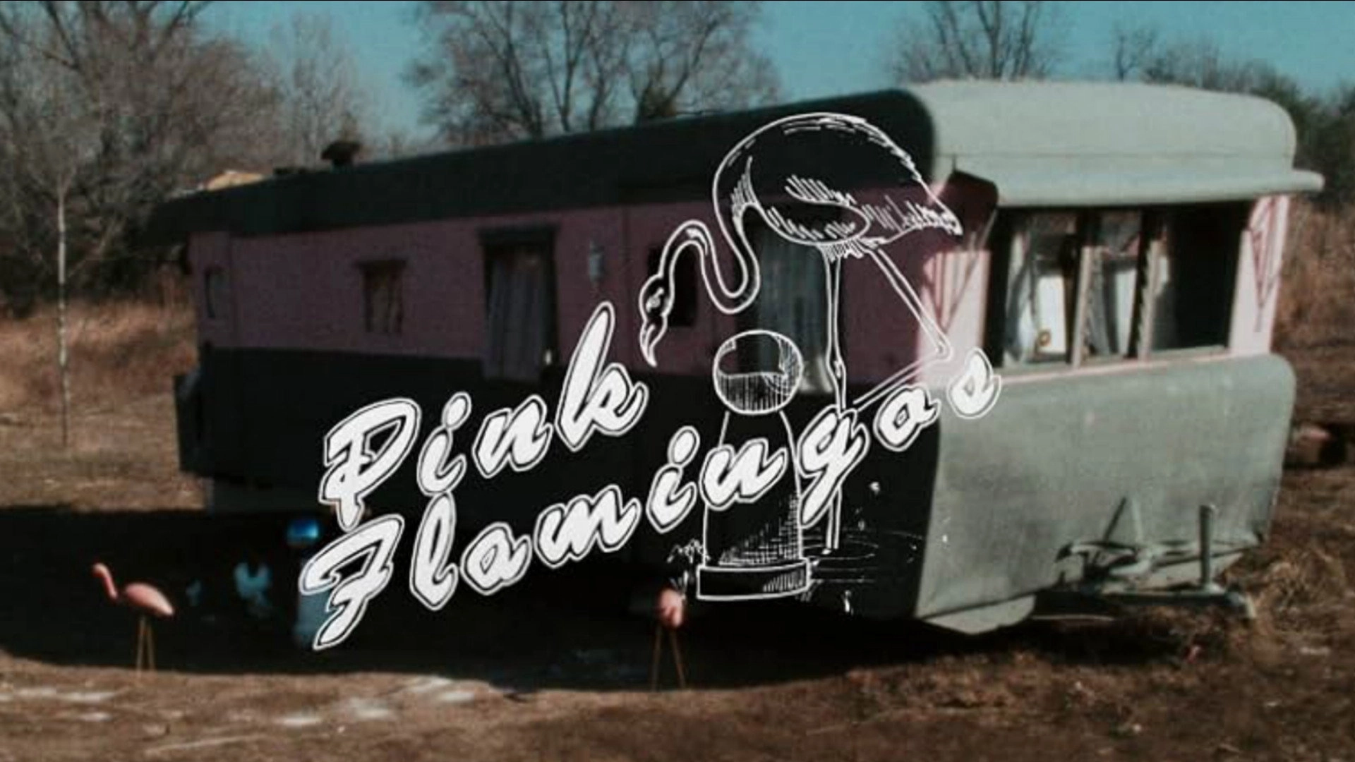 Pink Flamingos