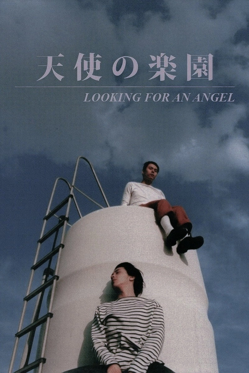 Looking for an Angel