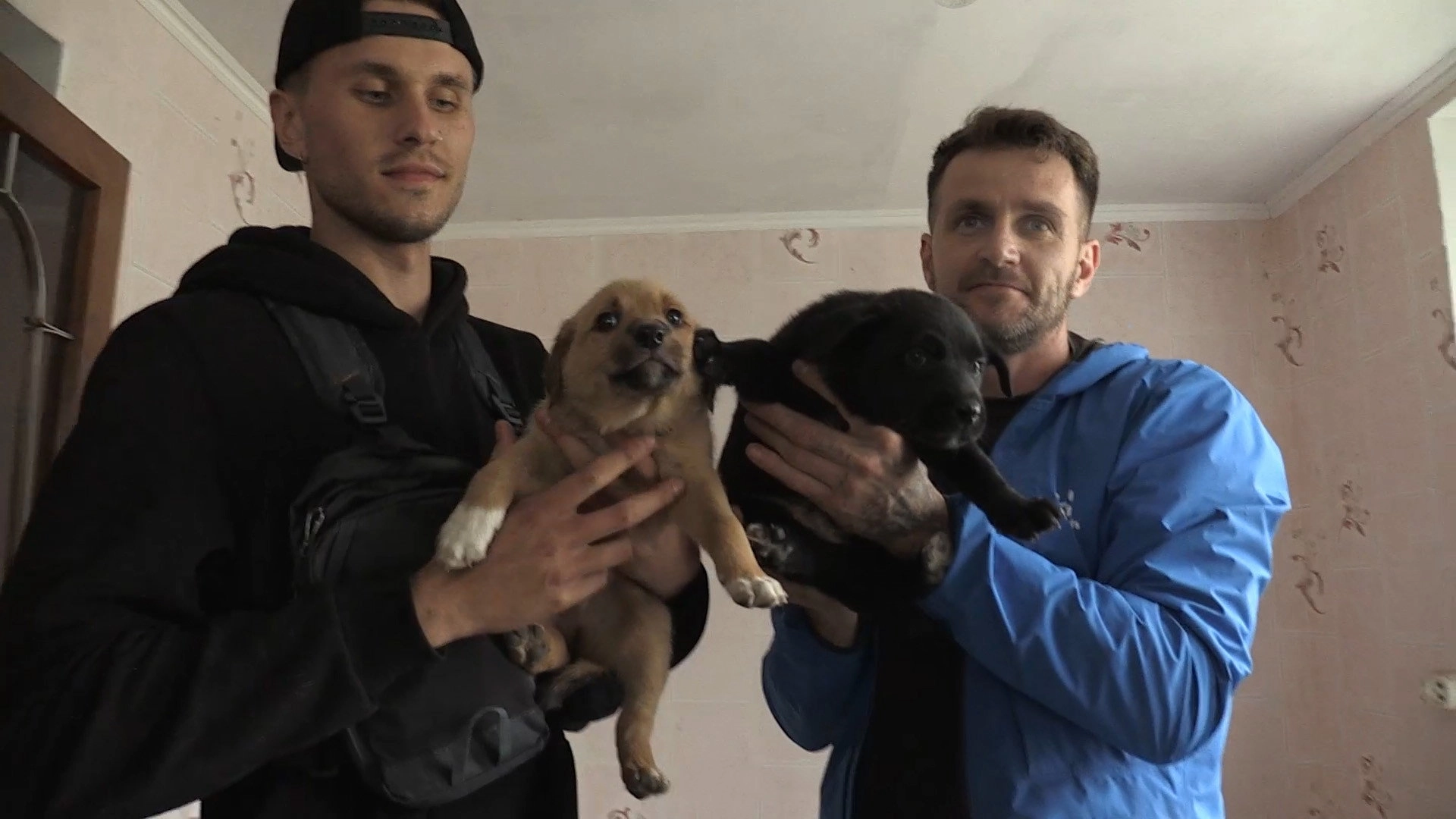 Dogs and War: What I saw in Ukraine