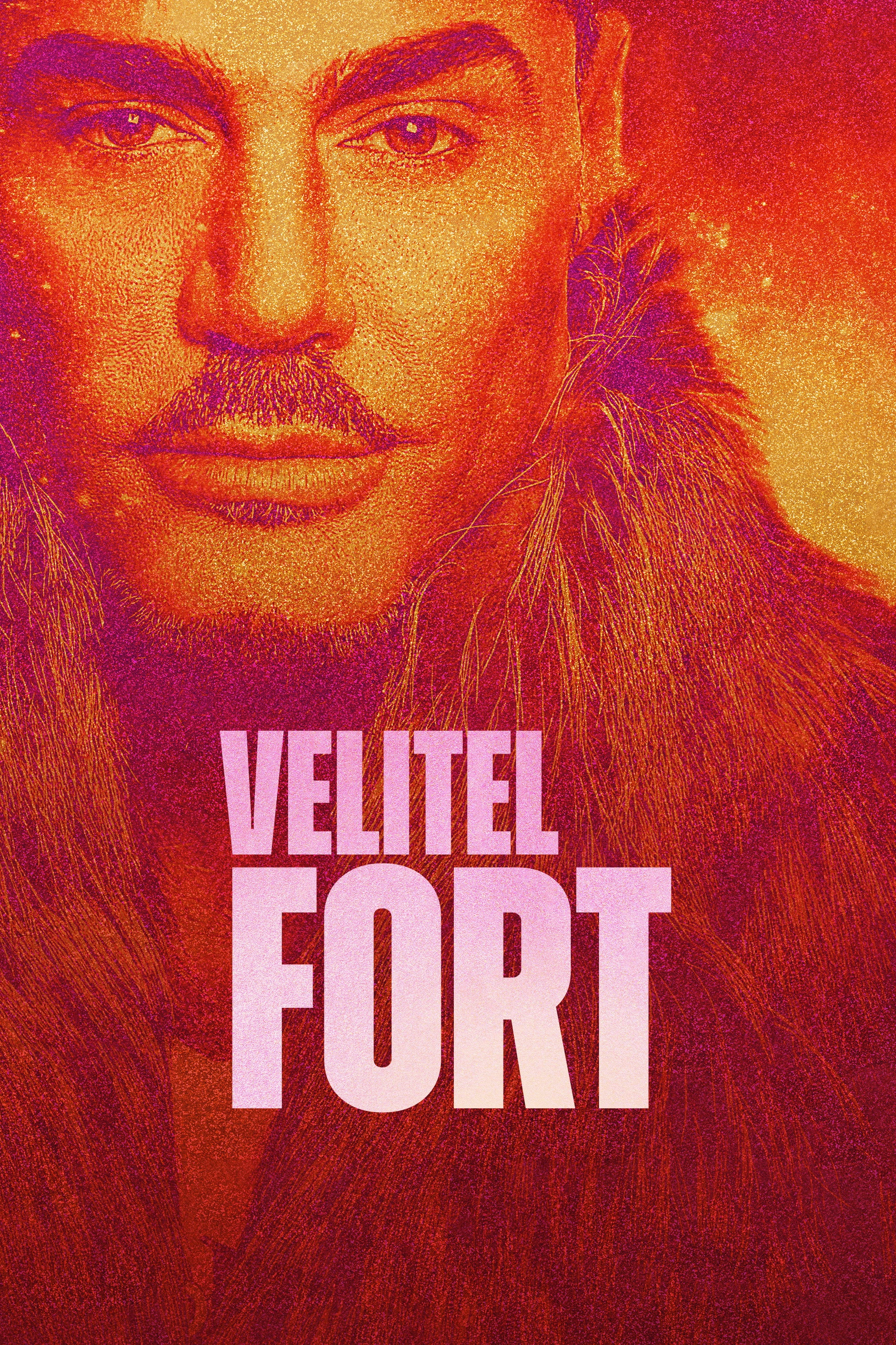 Commander Fort