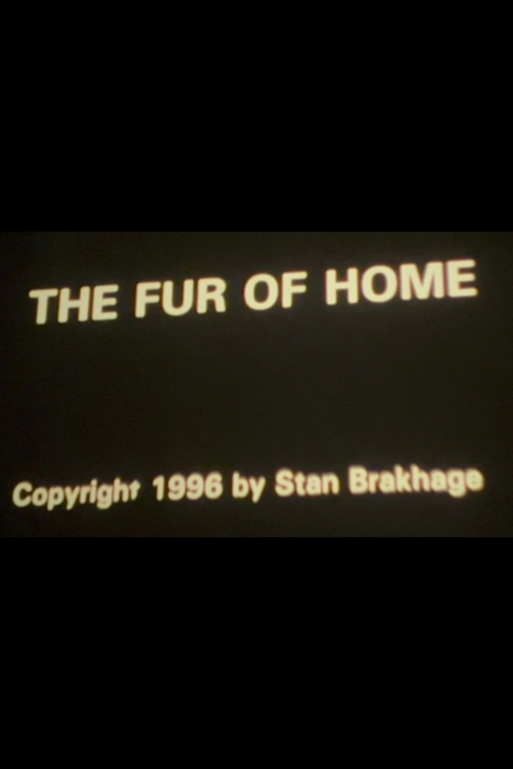 The Fur of Home