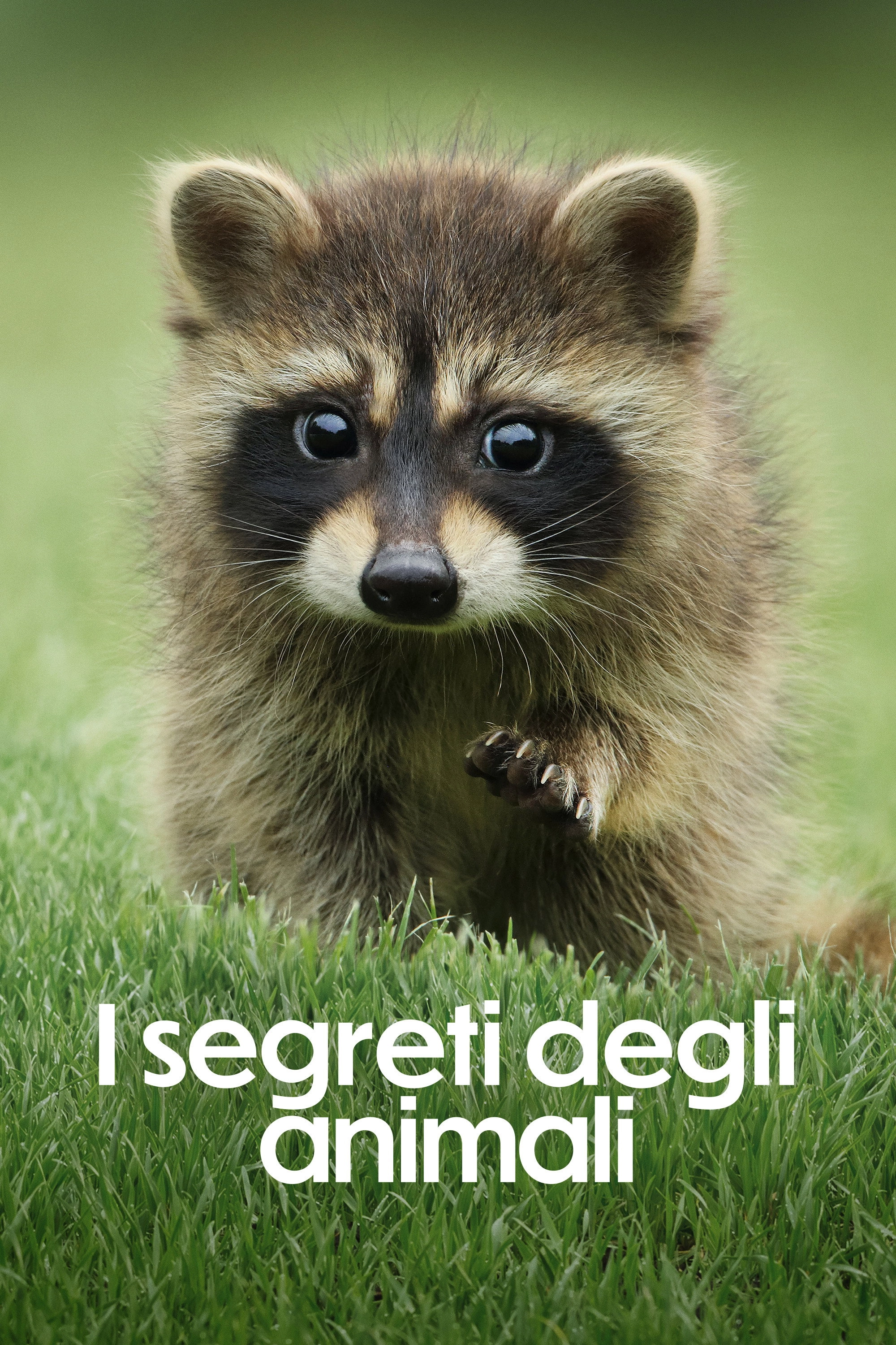 The Secret Lives of Animals