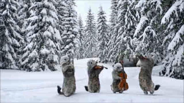 Les Marmottes