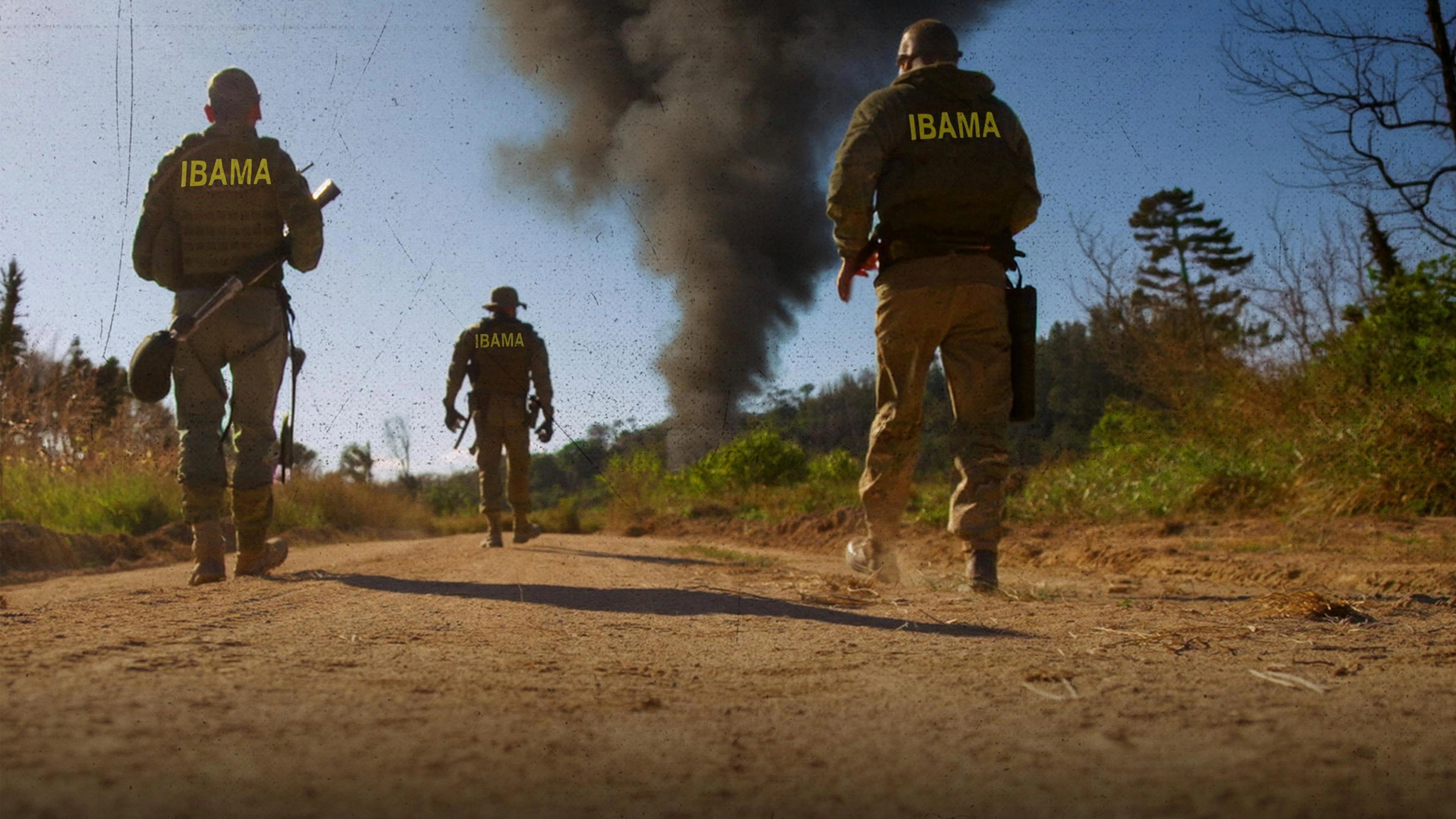 Operação Guerra Verde