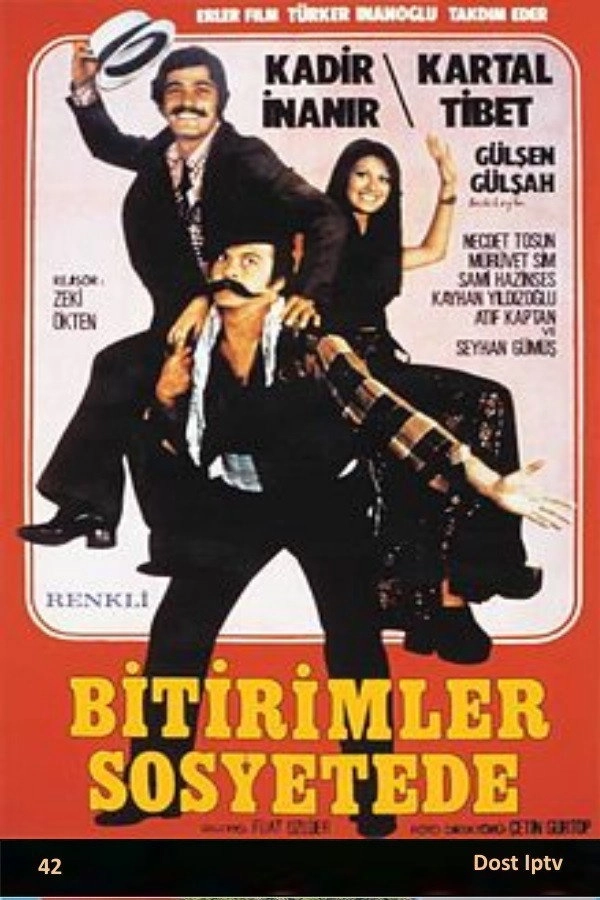 Bitirimler Sosyetede