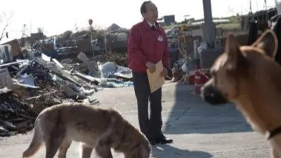犬飼さんちの犬