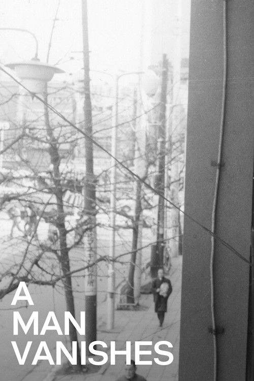 A Man Vanishes