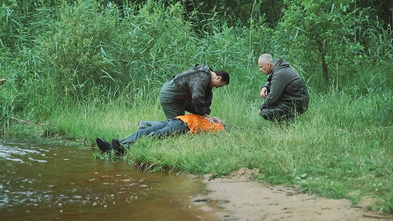 Закон тайги