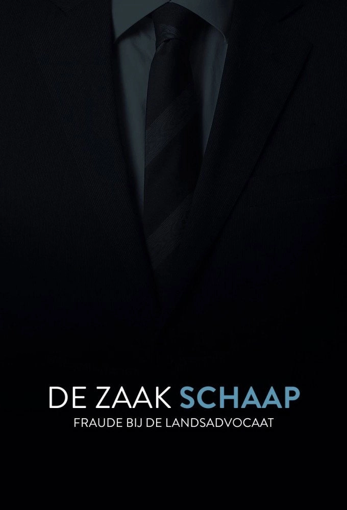 De Zaak Schaap: fraude bij de landsadvocaat
