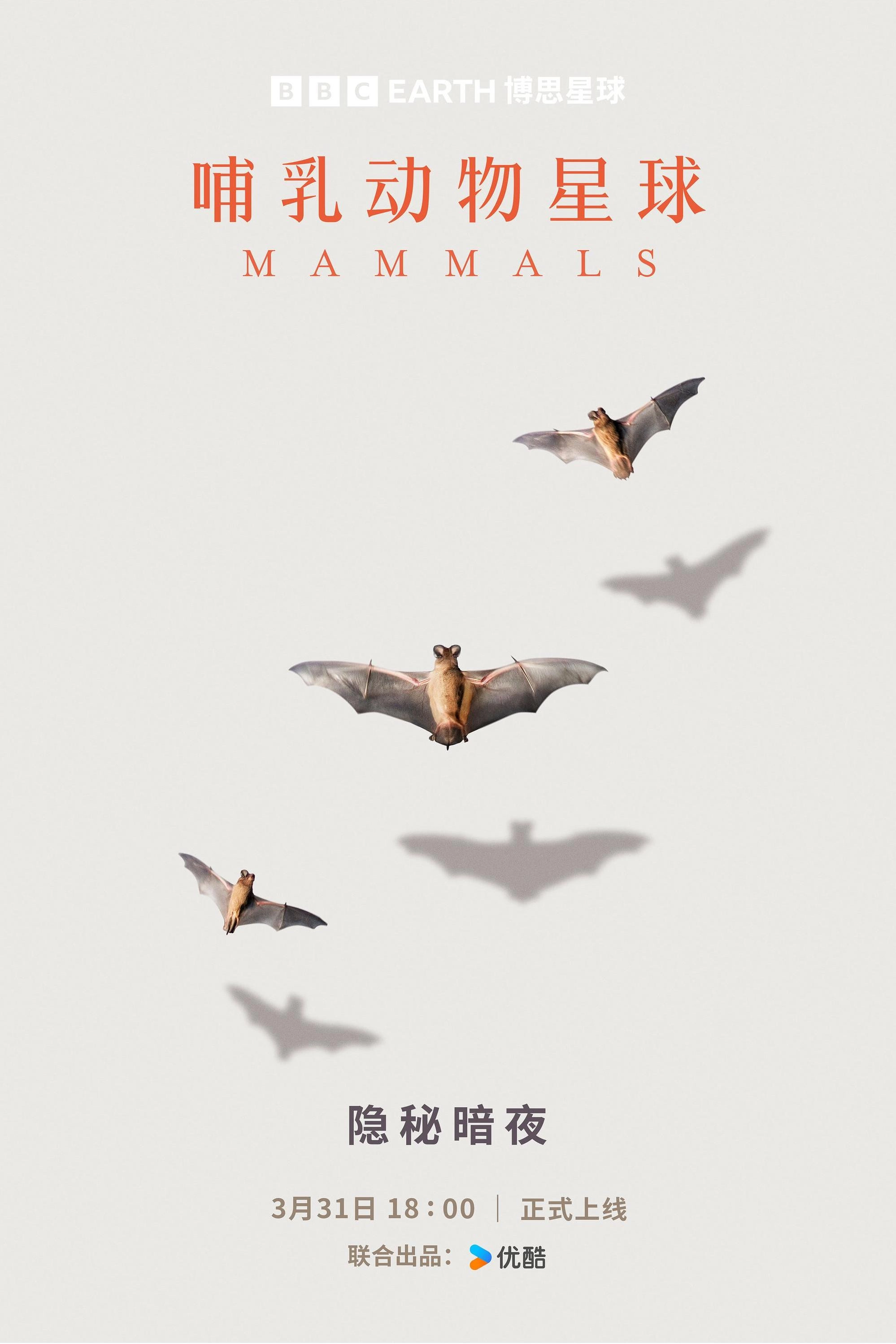 Mammals