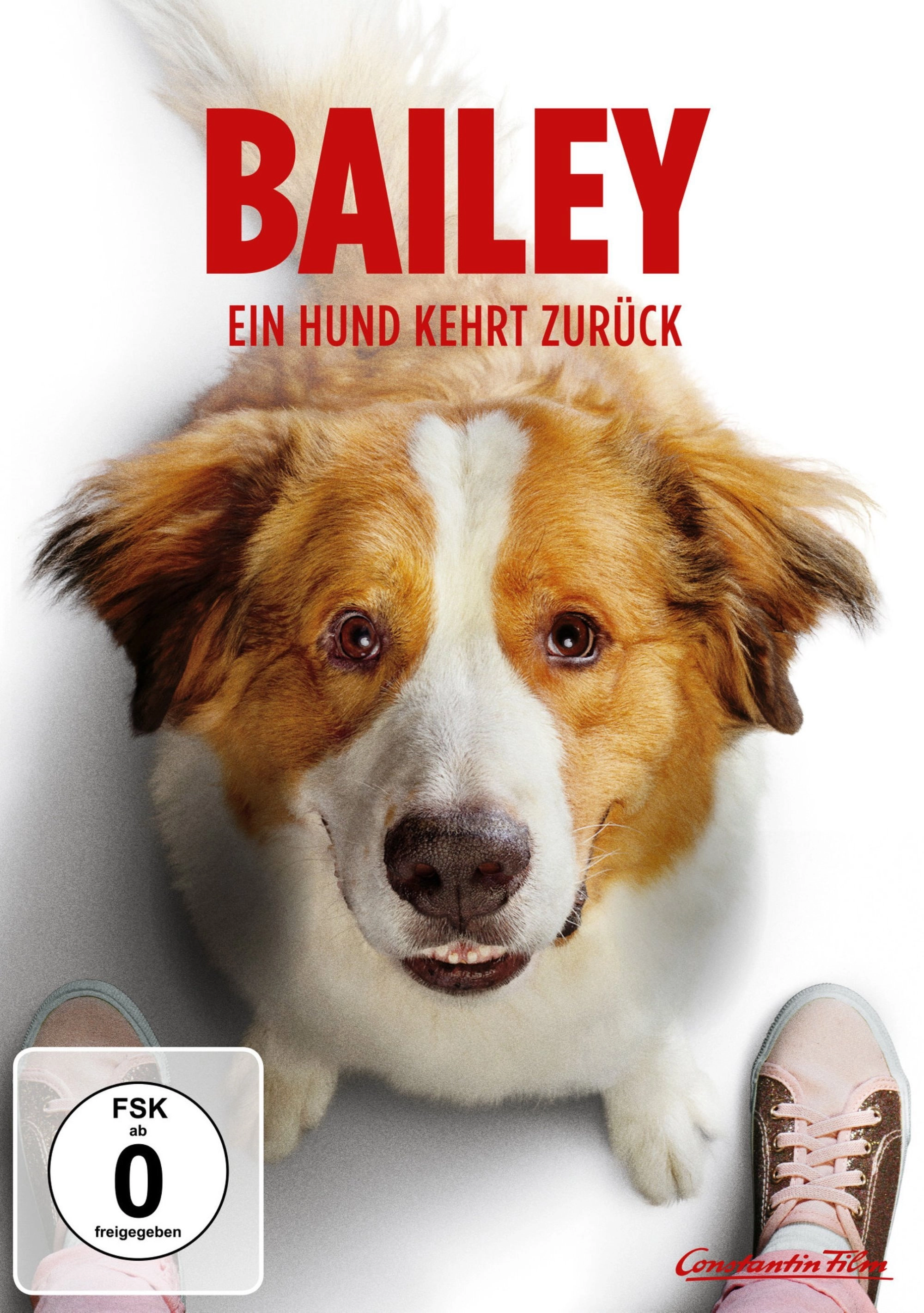 A Dog's Journey