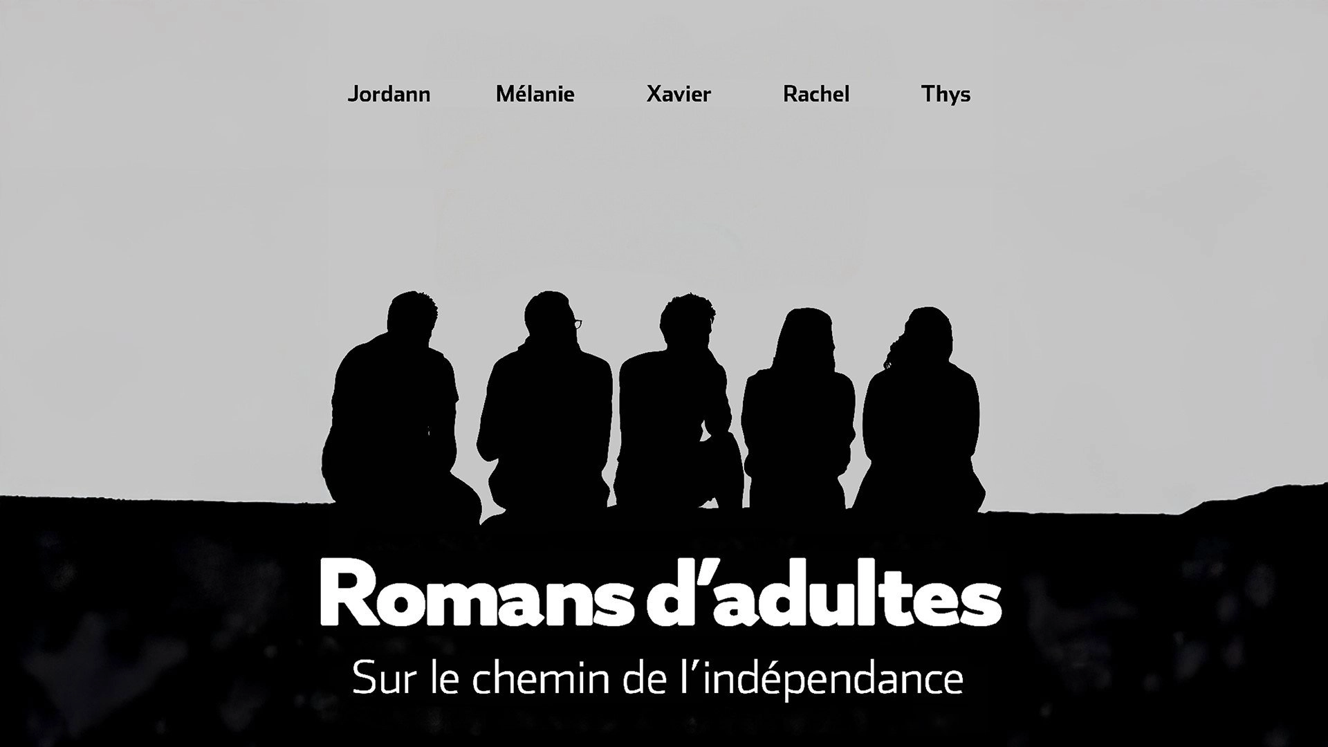 Romans d'adultes