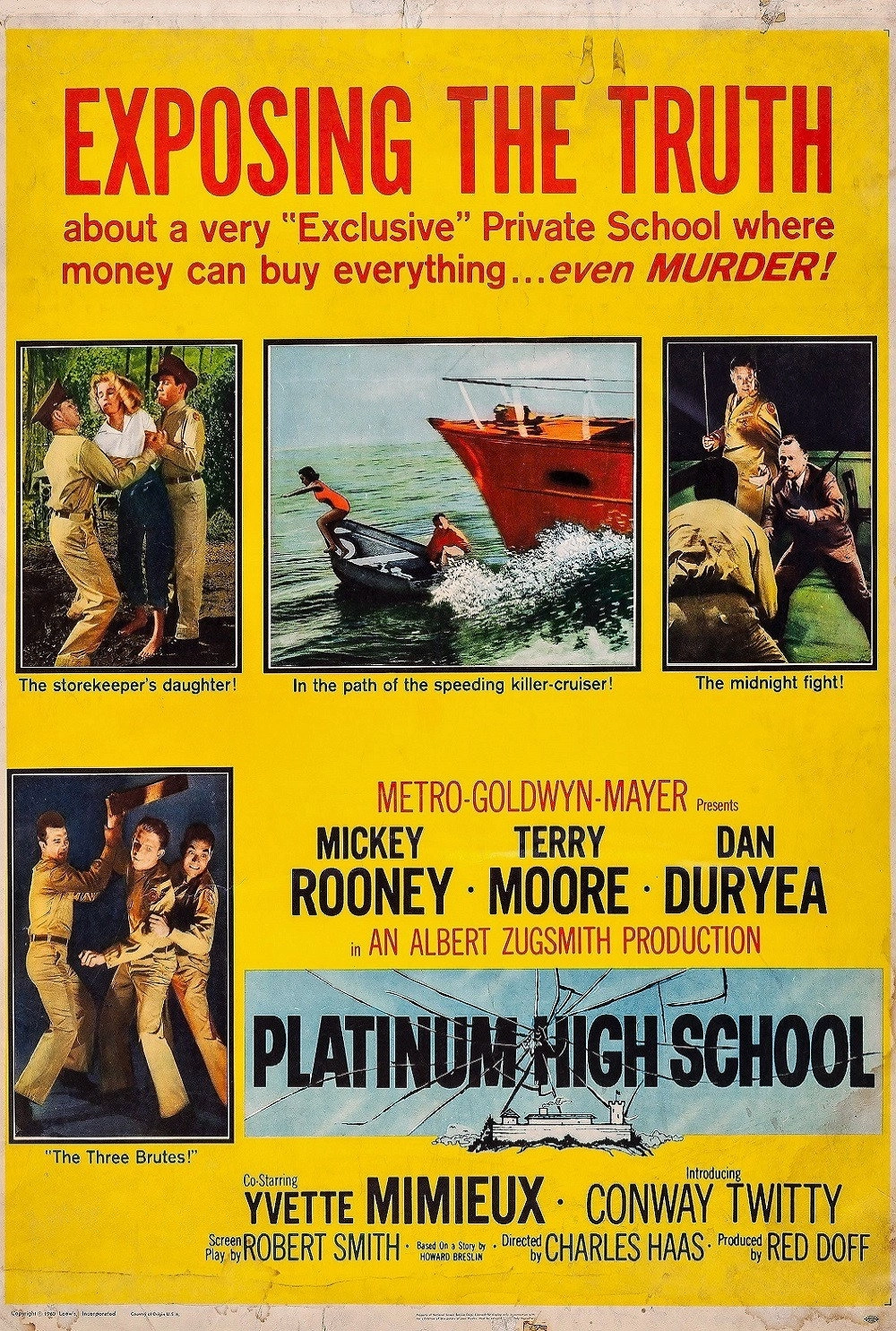 Platinum High School