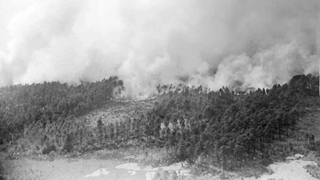 1949 : le Grand feu